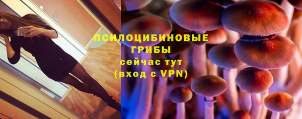кокаин перу Богданович