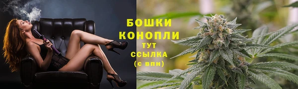 крисы Богородск