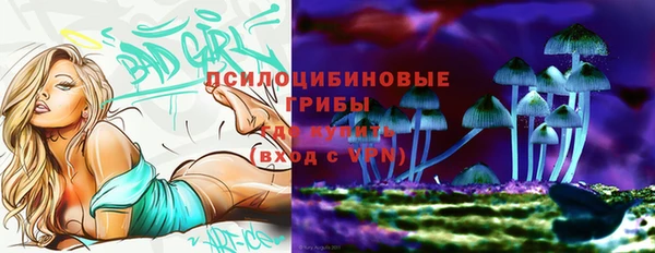 кокаин перу Богданович