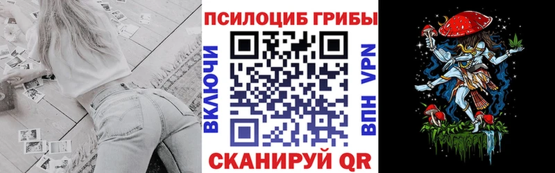 сайты даркнета клад  Иноземцево  Галлюциногенные грибы Psilocybe  что такое  